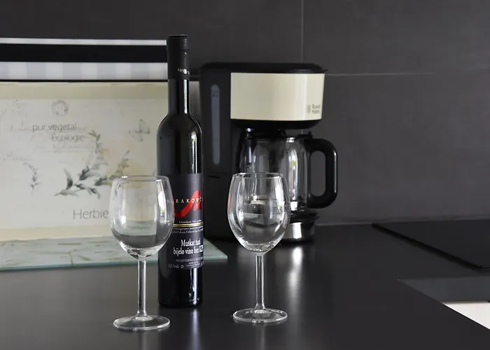 Apartament Paris Nijvice